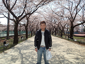 春はやっぱり花見ドライブ