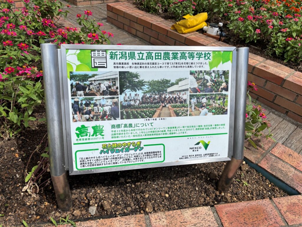 作業の様子