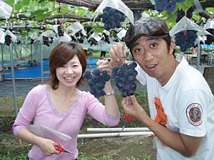 秋の味覚・ぶどうの食べ比べ