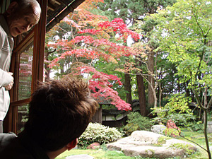 紅葉と日本の美を楽しもう！