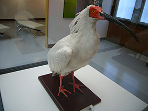 佐渡を気ままにドライブ part1