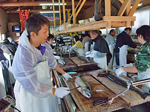 鮭の塩引きづくりに挑戦！／村上・塩引き道場