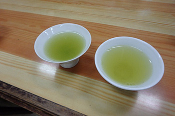 新潟の匠に学ぶ／日本茶ソムリエ