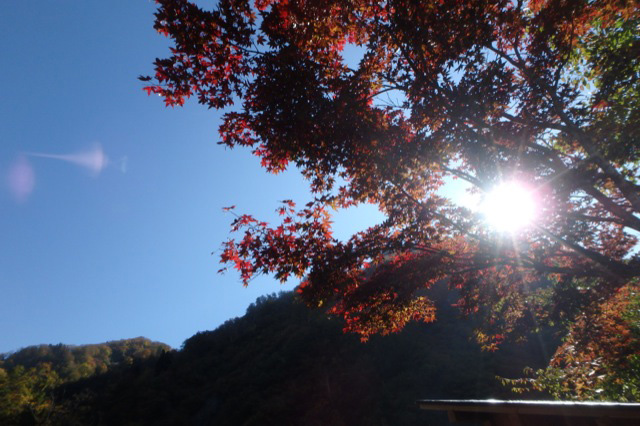 秋の恒例！紅葉狩りドライブ