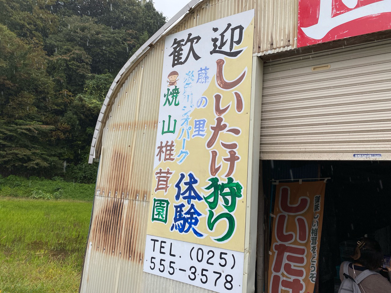 味覚の秋～糸魚川でしいたけ狩り体験