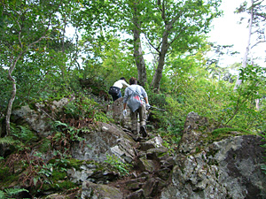 赤湯温泉　山口館