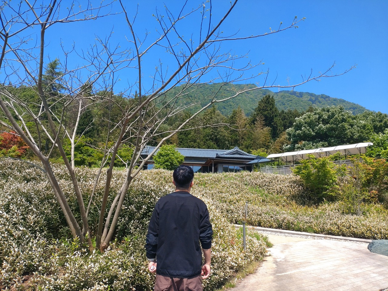 ドライブの休憩におすすめのカフェ