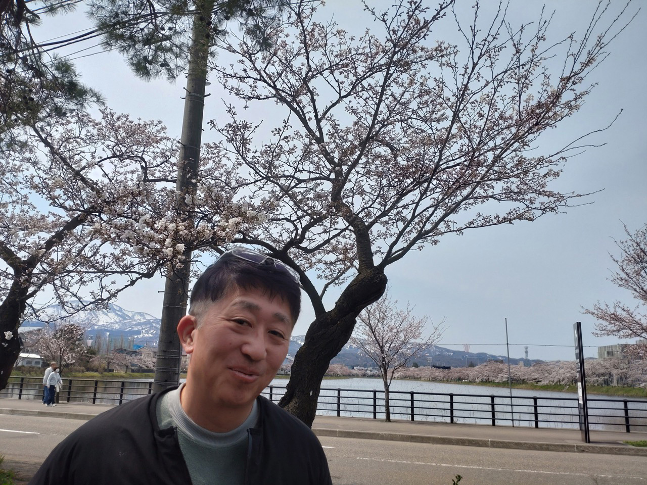 春を満喫！ヤン気ま花見ドライブ