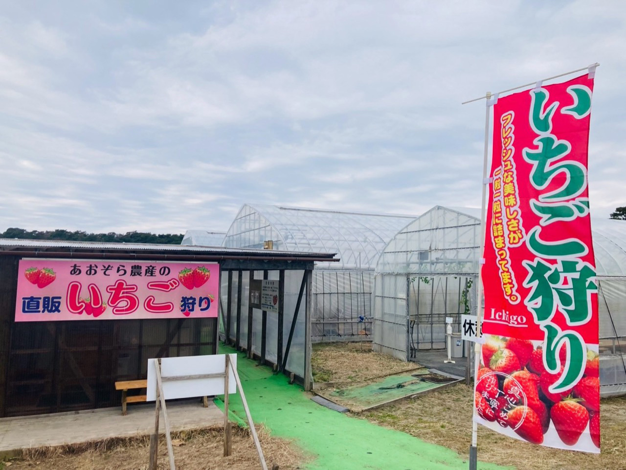 春の味覚を堪能！いちご狩り
