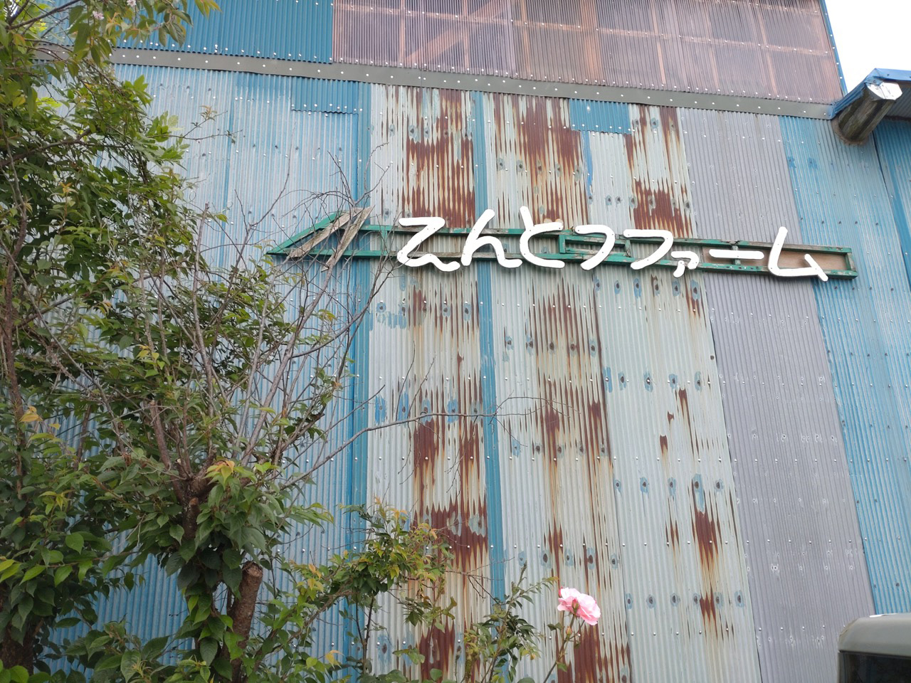 匠に学ぶ／えんどうファーム