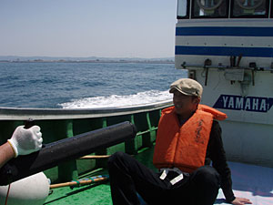 イルカに会いに行こう！