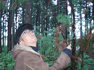 カマキリ博士の積雪予想