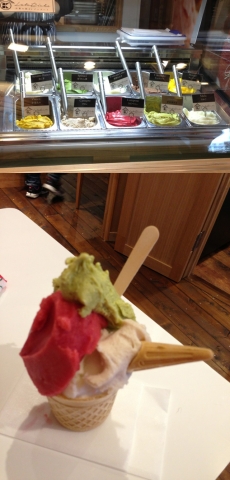 【長岡市 特派員情報】新潟駅近くのラト・リーチェさんでジェラート！