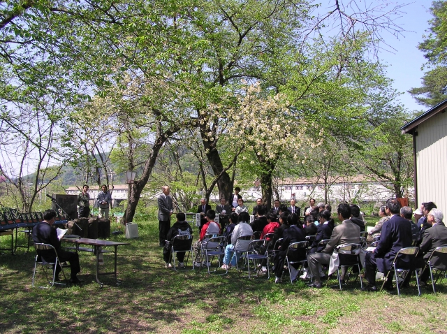 【十日町市 特派員情報】黄桜の丘桜まつり