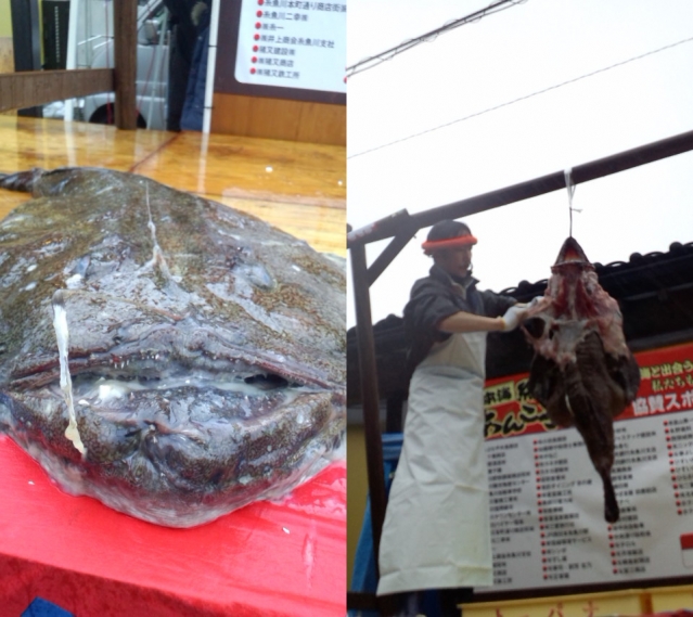 【糸魚川市 特派員情報】糸魚川あんこう祭りに行ってきました！